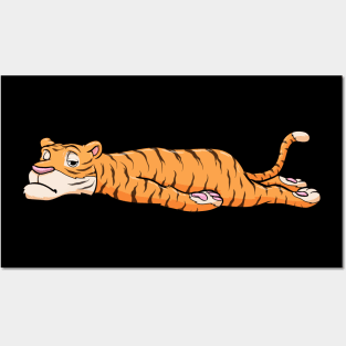 Tiger is Resting Posters and Art